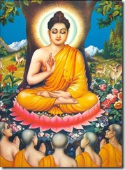 buddha buddha