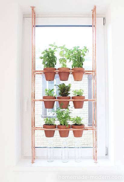 hmm_ep77_copperherbgarden_option5.jpg hmm_ep77_copperherbgarden_option5.jpg
