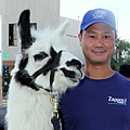 zappos-multimillionaire-ceo-explains-why-he-lives-in-a-trailer-park-with-his-two-pet-llamas.jpg