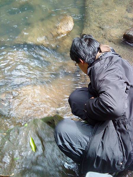 DSC00953 DSC00953