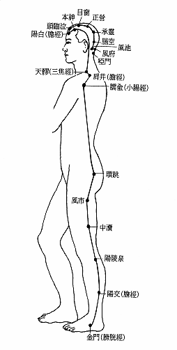 MagYwei1.gif