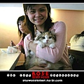 20040925午 寶之屋貓聚-2