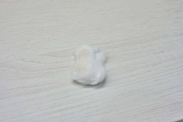 保養-00 LRG_DSC04358.jpg