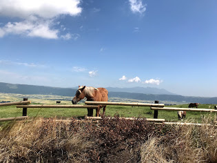 阿蘇-00 IMG_9351.jpg