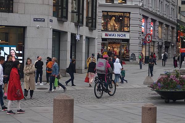 北歐-00 DSC05129.JPG