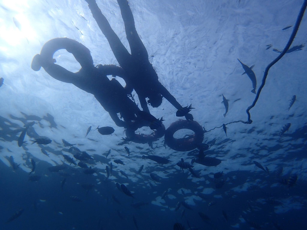 S__44630081.jpg S__44630081.jpg