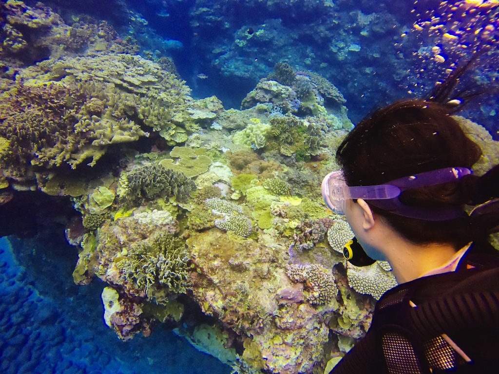 S__44630021.jpg S__44630021.jpg