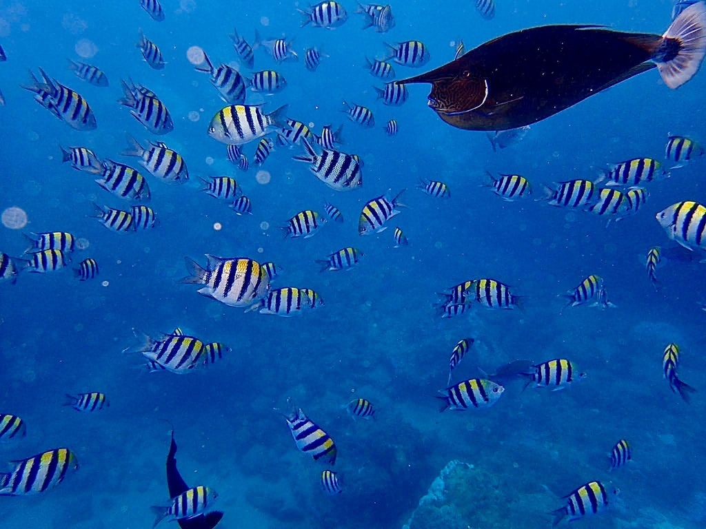 S__44630024.jpg S__44630024.jpg