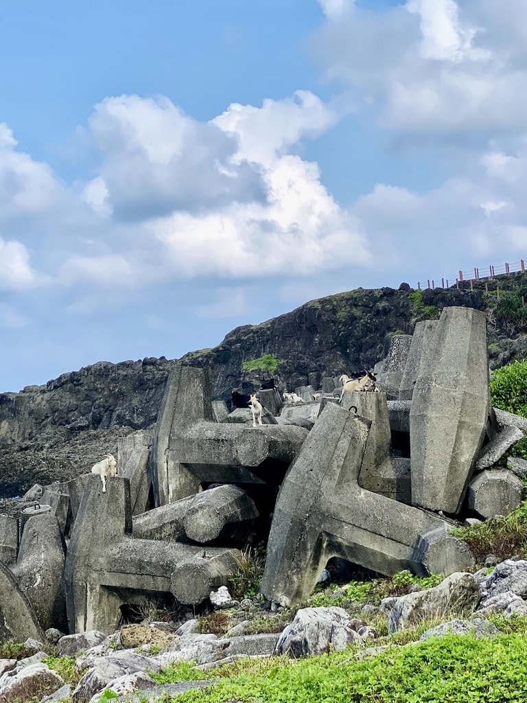 S__44630039.jpg S__44630039.jpg