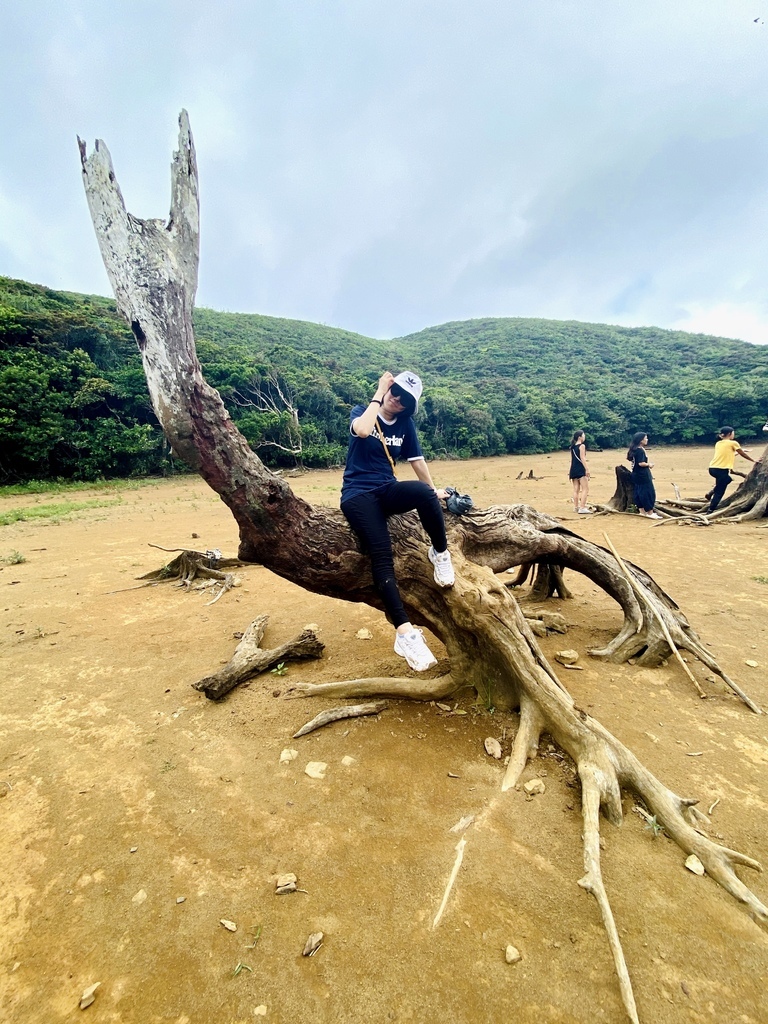 S__44638226.jpg S__44638226.jpg