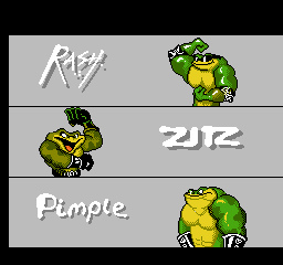 Battletoads 202211260401582.bmp