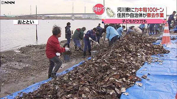 ［日本新聞］江戶川放水路大量發生的牡蠣與中國人 .jpg