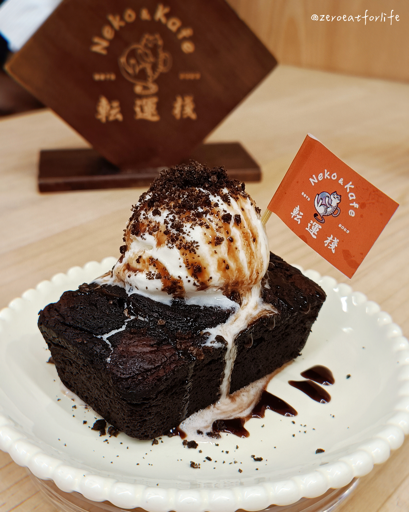 浪貓転運!臺北貓咪中途咖啡廳😺 浪貓転運!臺北貓咪中途咖啡廳😺