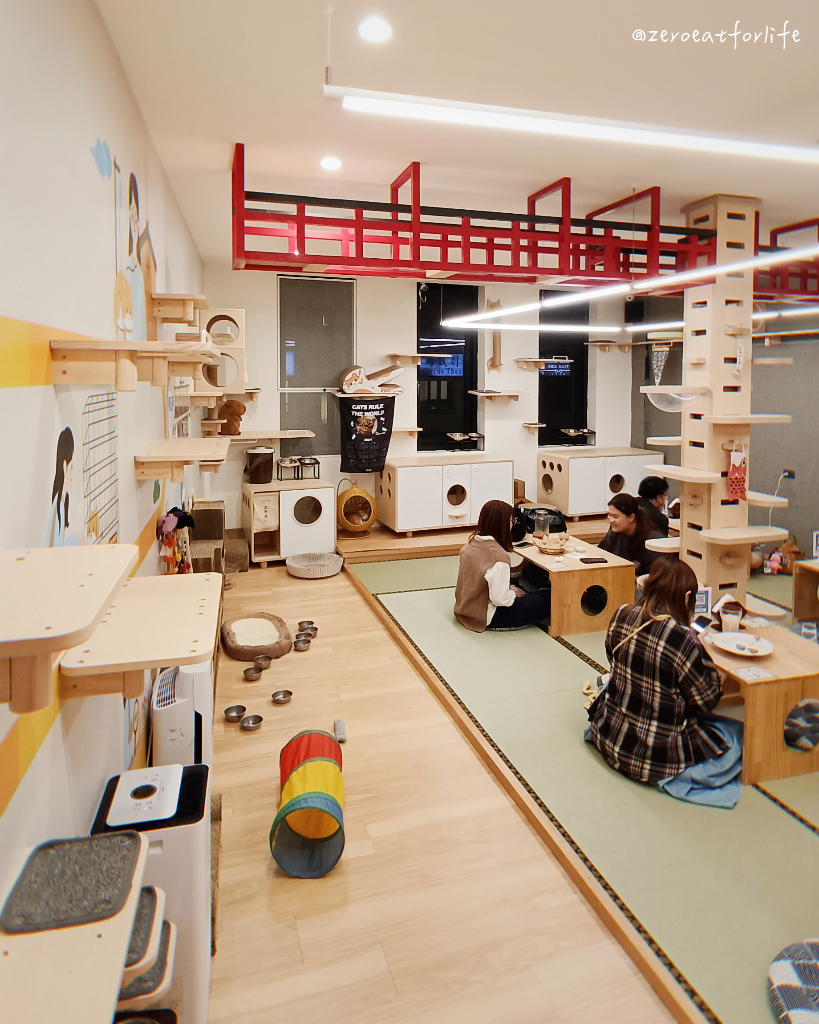 浪貓転運!臺北貓咪中途咖啡廳😺 浪貓転運!臺北貓咪中途咖啡廳😺