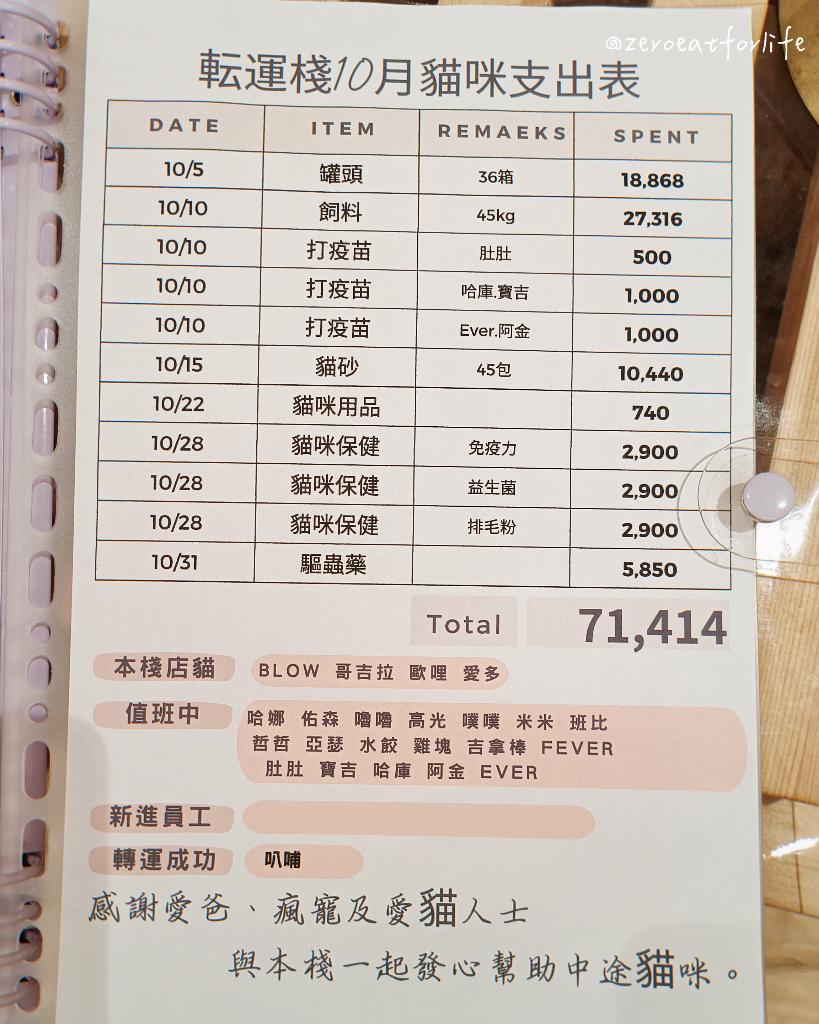 浪貓転運!臺北貓咪中途咖啡廳😺 浪貓転運!臺北貓咪中途咖啡廳😺