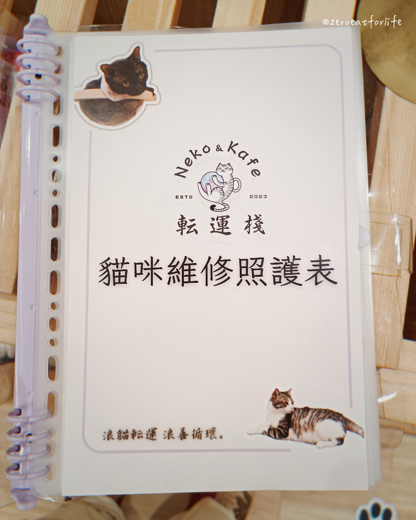 浪貓転運!臺北貓咪中途咖啡廳😺 浪貓転運!臺北貓咪中途咖啡廳😺