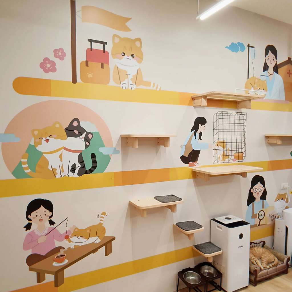 浪貓転運!臺北貓咪中途咖啡廳😺 浪貓転運!臺北貓咪中途咖啡廳😺