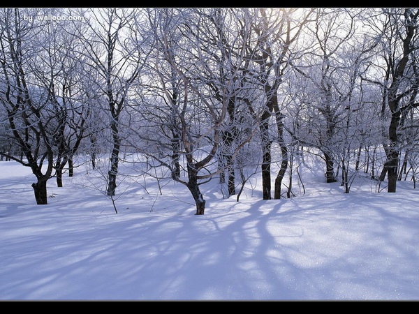 雪景.jpg