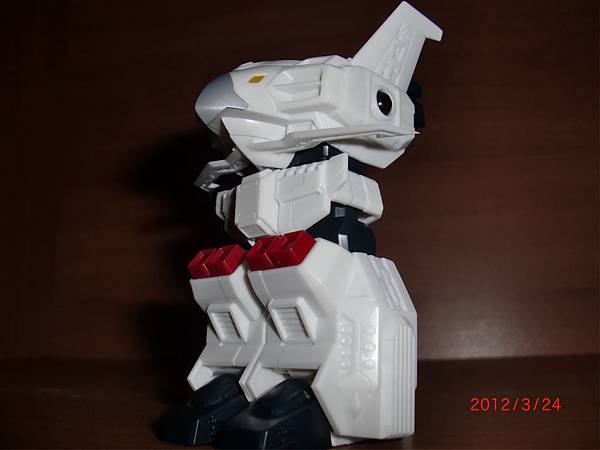 CIMG6300