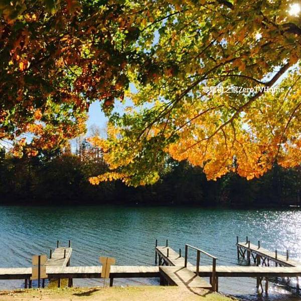 PhotoGrid_1432583108271