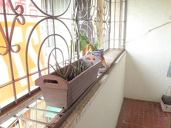20140807_030927003_iOS.jpg 20140807_030927003_iOS.jpg