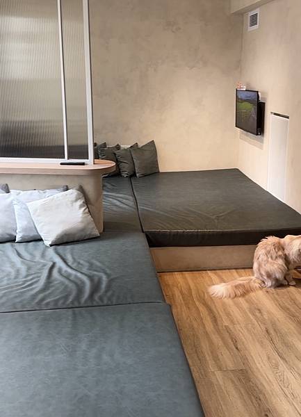 台北車站 貓咪咖啡廳|貓珈 飲料無限暢飲 有桌遊、漫畫 超多 台北車站 貓咪咖啡廳|貓珈 飲料無限暢飲 有桌遊、漫畫 超多