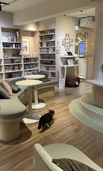 台北車站 貓咪咖啡廳|貓珈 飲料無限暢飲 有桌遊、漫畫 超多 台北車站 貓咪咖啡廳|貓珈 飲料無限暢飲 有桌遊、漫畫 超多