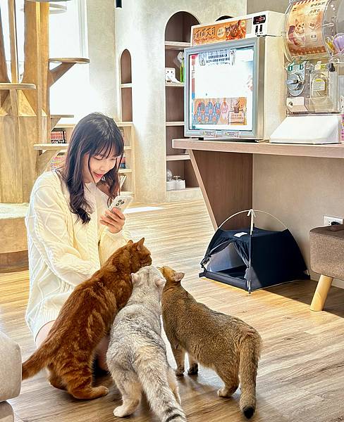 台北車站 貓咪咖啡廳|貓珈 飲料無限暢飲 有桌遊、漫畫 超多 台北車站 貓咪咖啡廳|貓珈 飲料無限暢飲 有桌遊、漫畫 超多