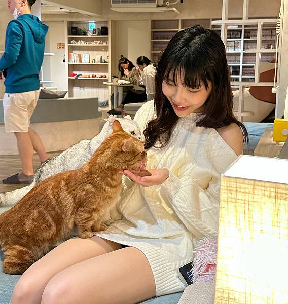 台北車站 貓咪咖啡廳|貓珈 飲料無限暢飲 有桌遊、漫畫 超多 台北車站 貓咪咖啡廳|貓珈 飲料無限暢飲 有桌遊、漫畫 超多