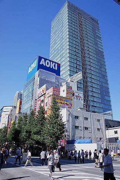 akiba13.jpg