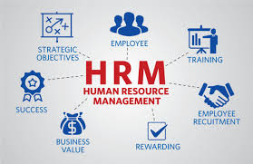 多益單字-Human Resource Management.jpg