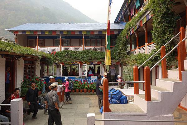 DSC00402.JPG DSC00402.JPG