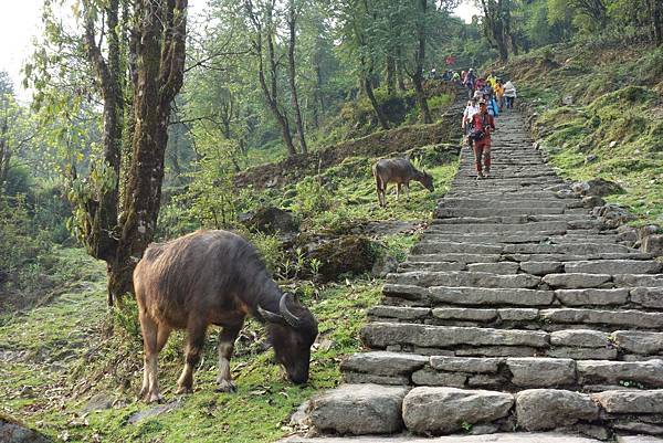 DSC02350.JPG DSC02350.JPG