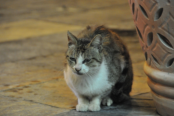 DSC_3212.JPG DSC_3212.JPG