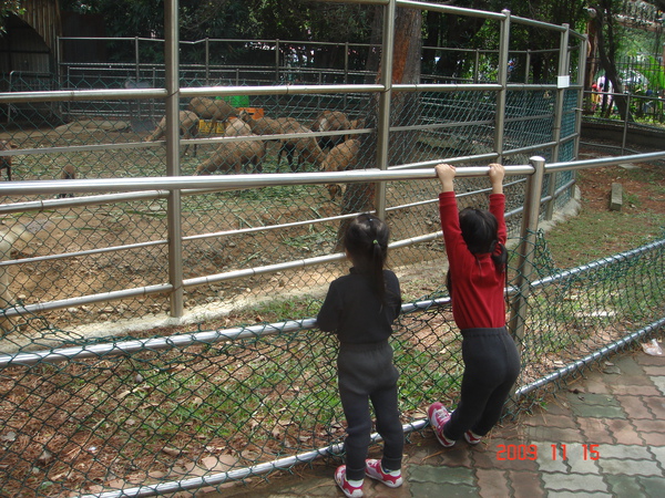 新竹市動物園(3.3ys)