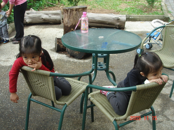 新竹市動物園(3.3ys) 新竹市動物園(3.3ys)