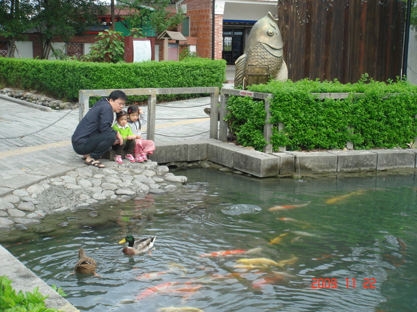 客家文化館餵鴉(3.3ys)