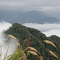 馬拉邦山-30.jpg