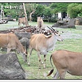 DSCF7787.JPG