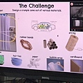 5-the challenge.JPG