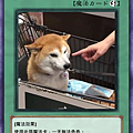 卓越空間美化-不可以色色.jpg