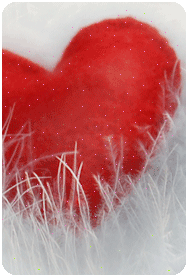 20101023.gif 20101023.gif