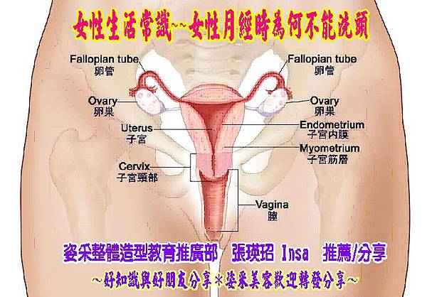 女性生活常識~~女性月經時為何不能洗頭.JPG