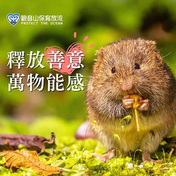 釋出善意 萬物有感.jpg