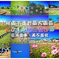 2016蘆竹花彩節001.jpg