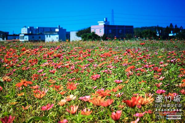 2016蘆竹花彩節038.jpg