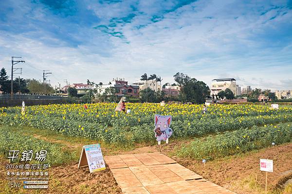 2016桃園花彩節平鎮花場013.jpg