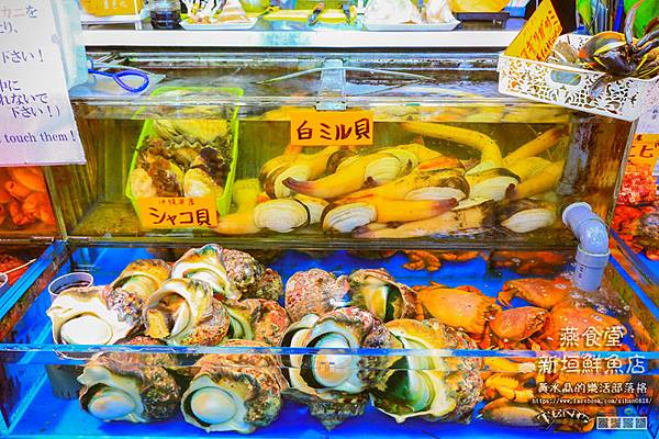 新垣鮮魚店014.jpg