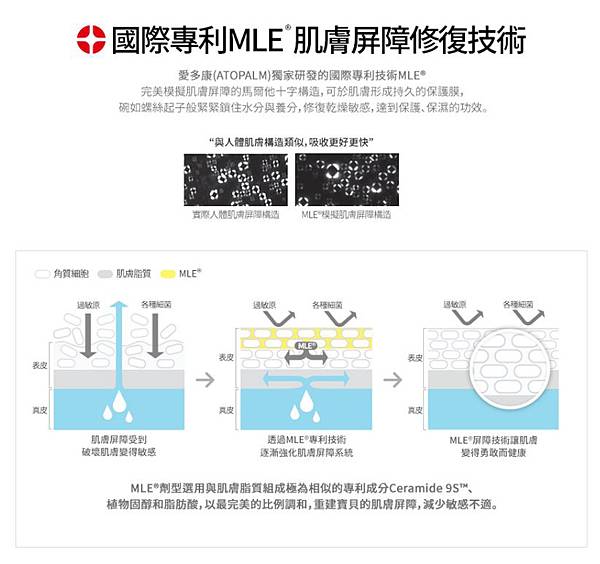 1491638062659.jpg 試用