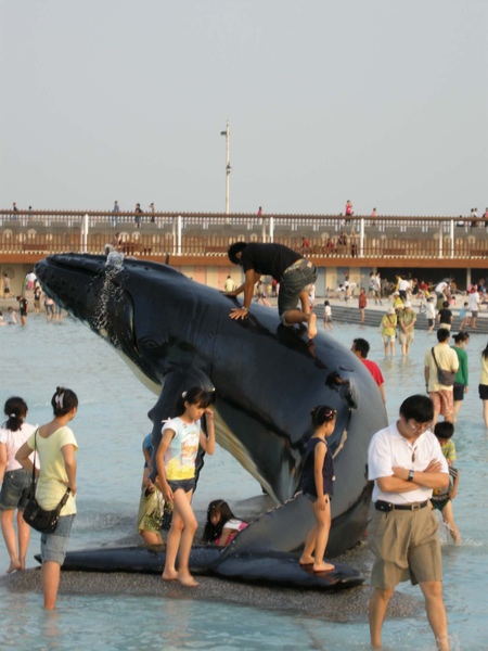 超滑溜的鯨魚